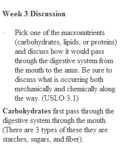 Week 3 Discussion 1